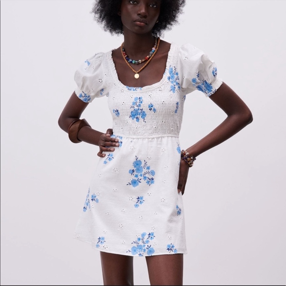 Zara Openwork Embroidered Floral Dress